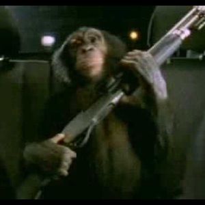 Meet your Posher, Caleb